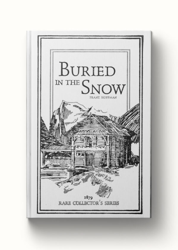 Buried in the Snow book