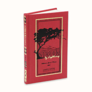 Damaged Struck By Lightning