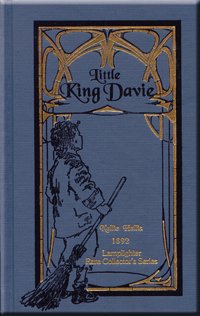Damaged Little King Davie