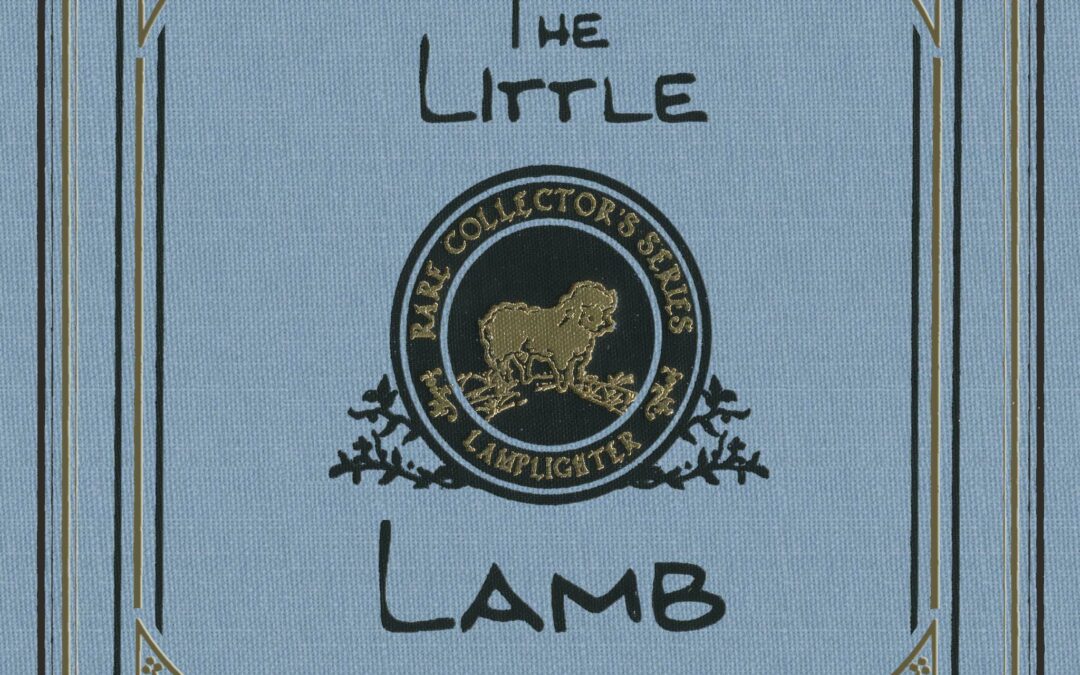 Little Lamb