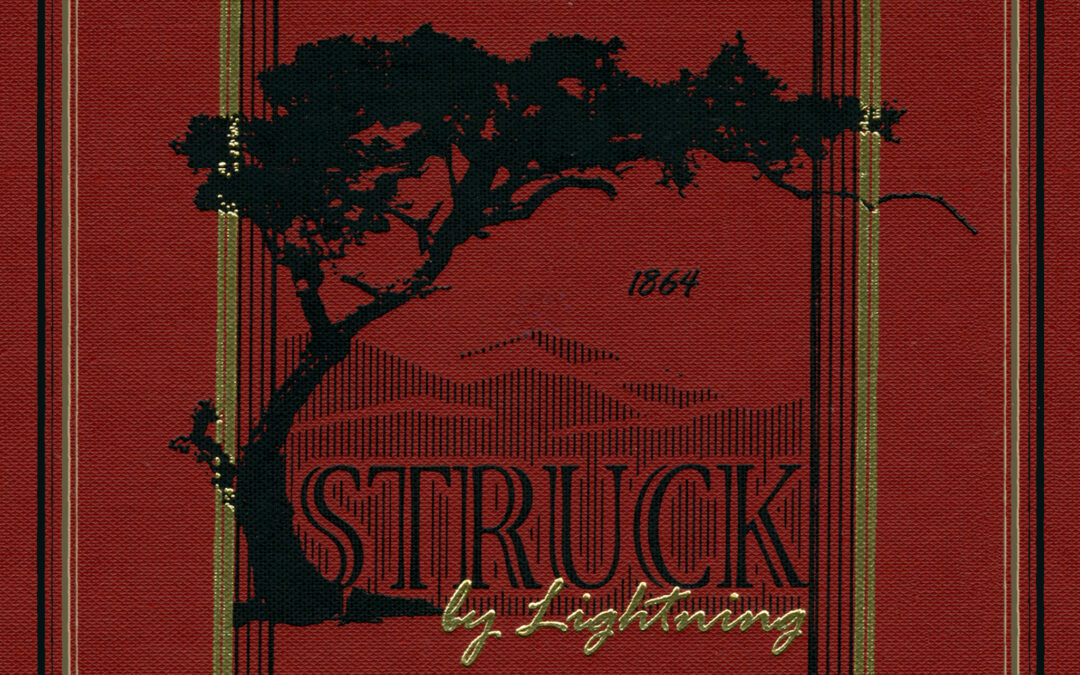 Struck by Lightning